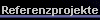  Referenzprojekte 